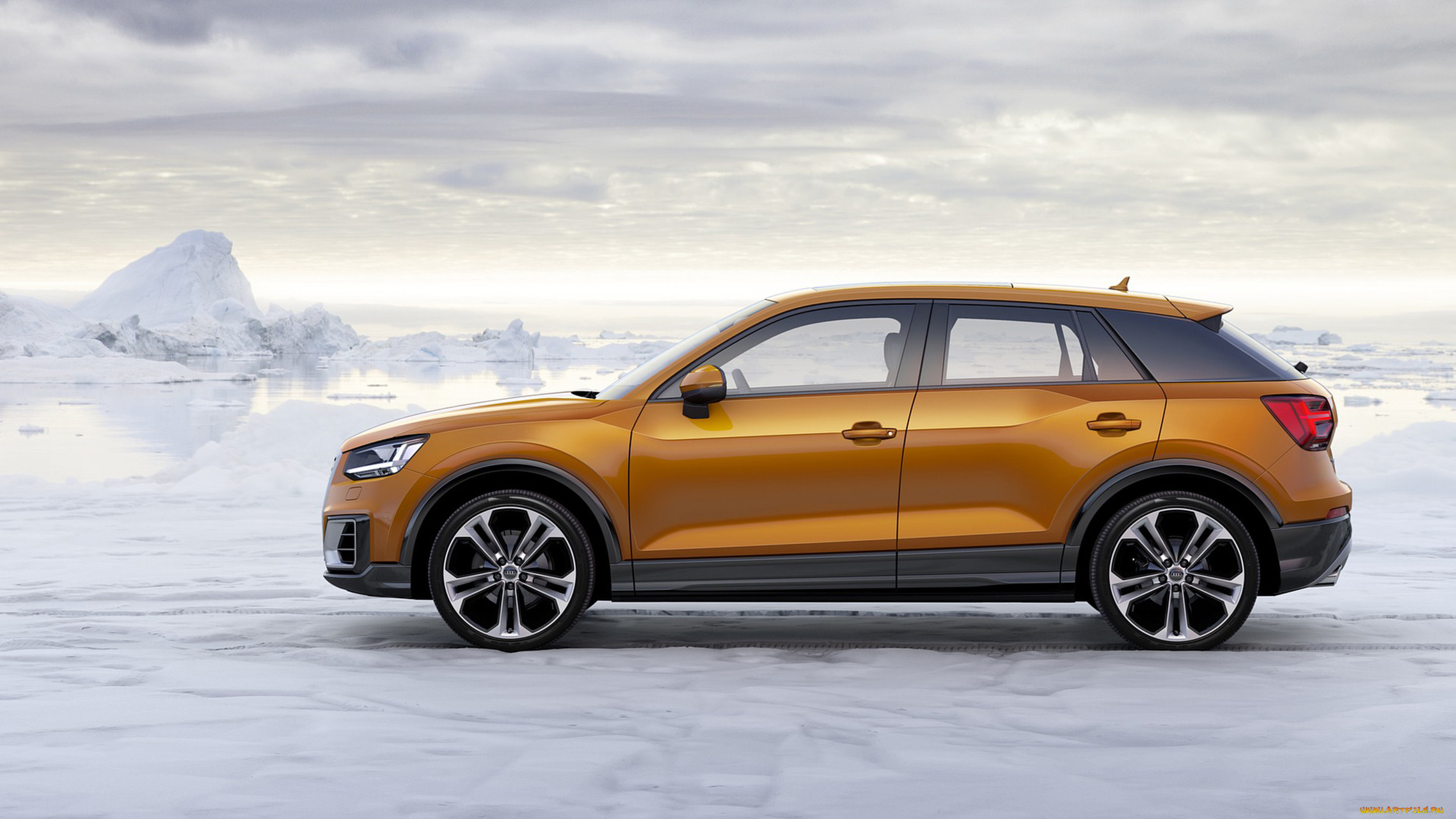 audi q2 2017, , audi, 2017, q2